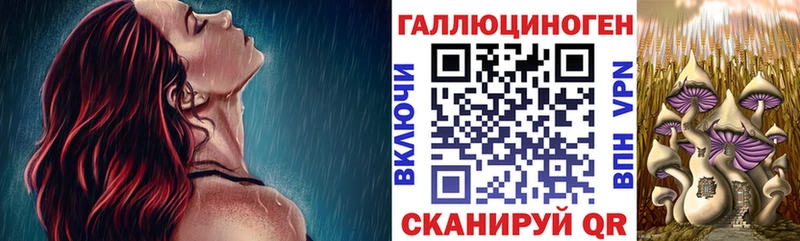 закладки  hydra вход  Галлюциногенные грибы прущие грибы  darknet официальный сайт  Одинцово 